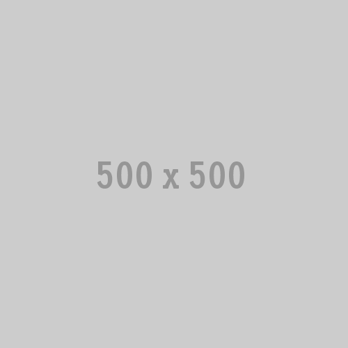 500x500.gif
