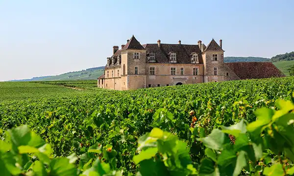 Where Medieval Monks Made Wine monday image