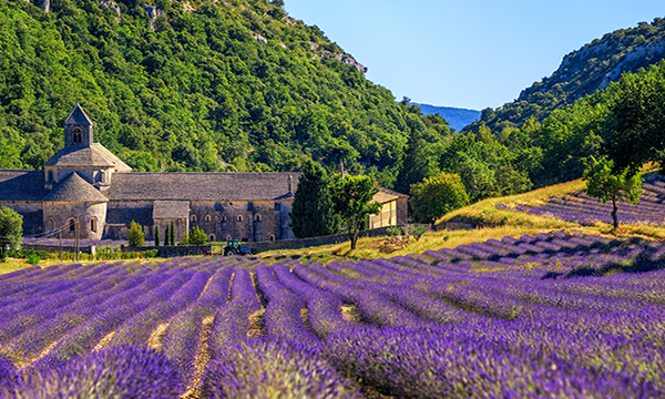The Pleasures of Provencewednesday image