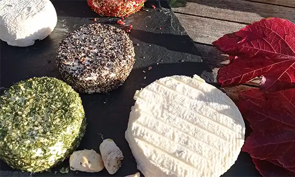 You’ve Tasted the Wine – Now Taste the Cheese!friday image