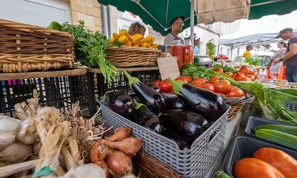 Taste Sumptuous Cheeses at a Lively Markettuesday image
