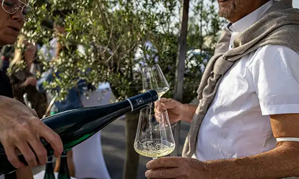 Secrets of French Winemaking at Chateau de Meursaulttuesday image