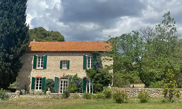 Saraphina Surf & Turf