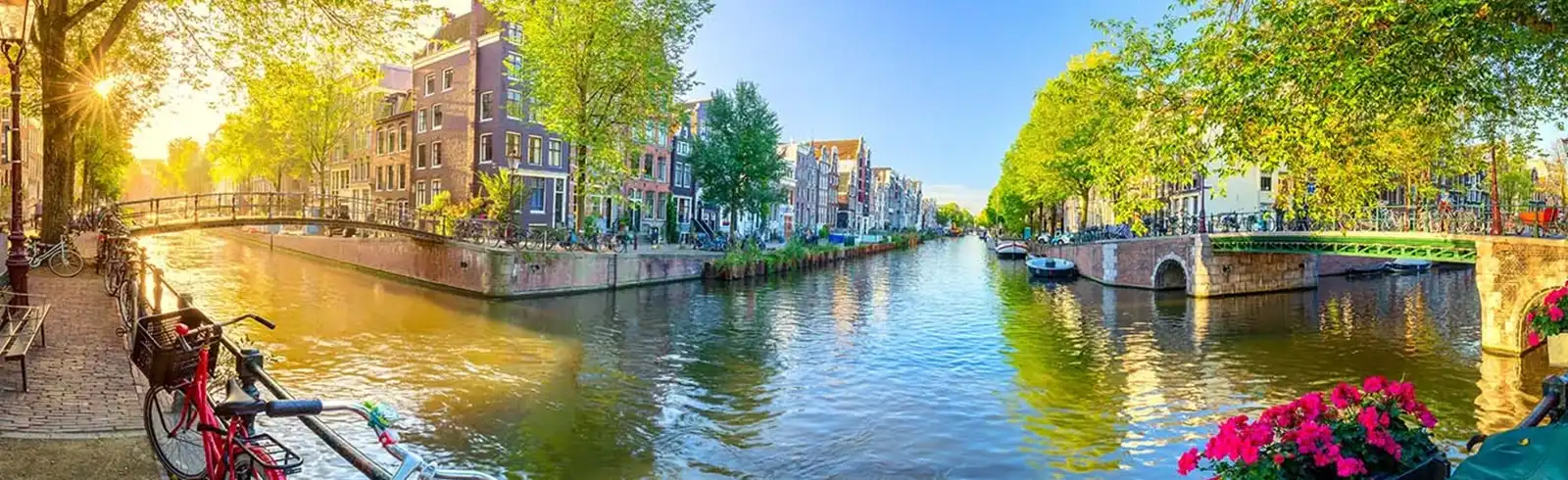 holbelamsterdam holbelamsterdam